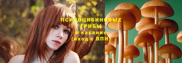 стаф Алексеевка