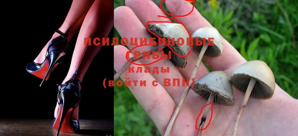стаф Алексеевка