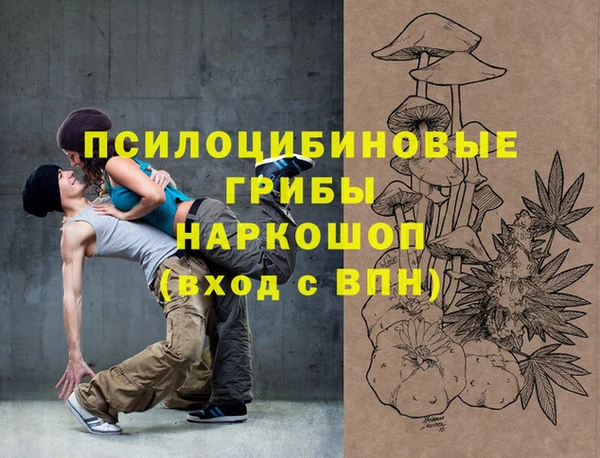 PSILOCYBIN Алзамай