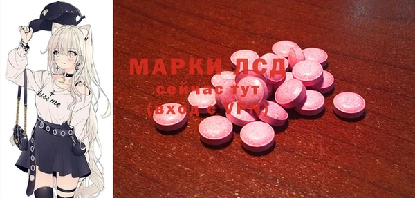 PSILOCYBIN Алзамай