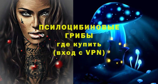стаф Алексеевка