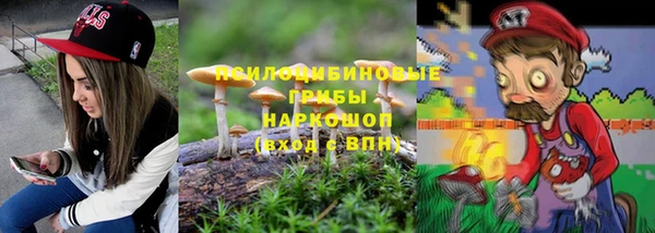 стаф Алексеевка