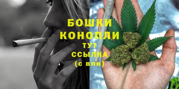 PSILOCYBIN Алзамай