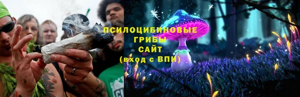 стаф Алексеевка