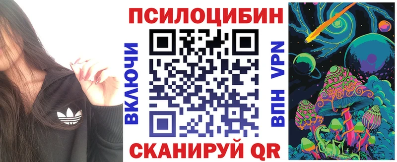 Псилоцибиновые грибы прущие грибы  Осинники 