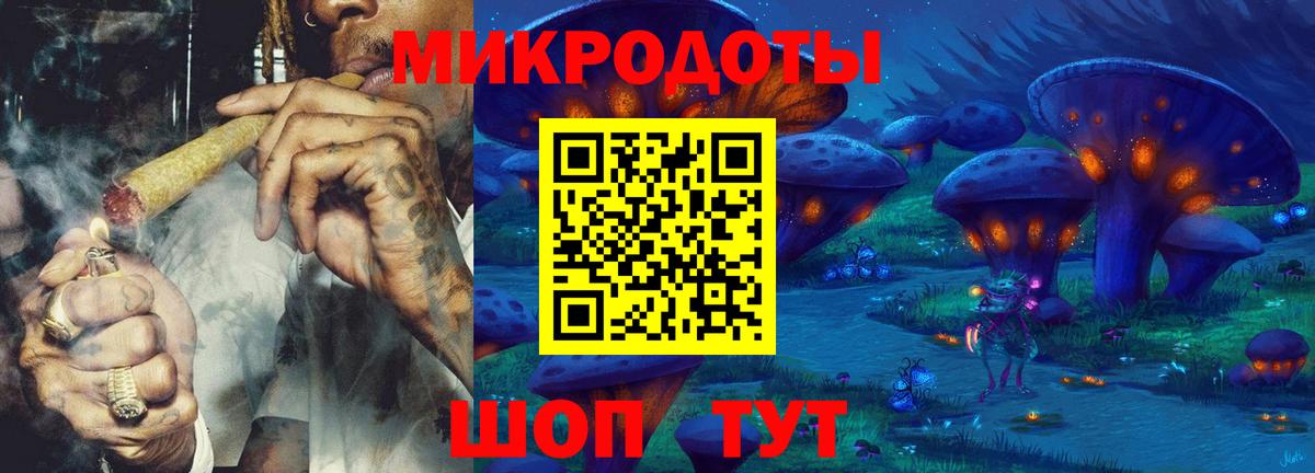 Галлюциногенные грибы Cubensis Осинники