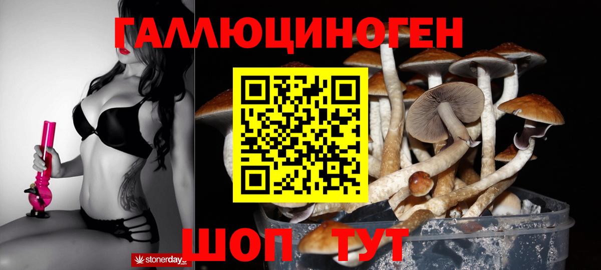 Галлюциногенные грибы прущие грибы  Вход с VPN  Осинники 